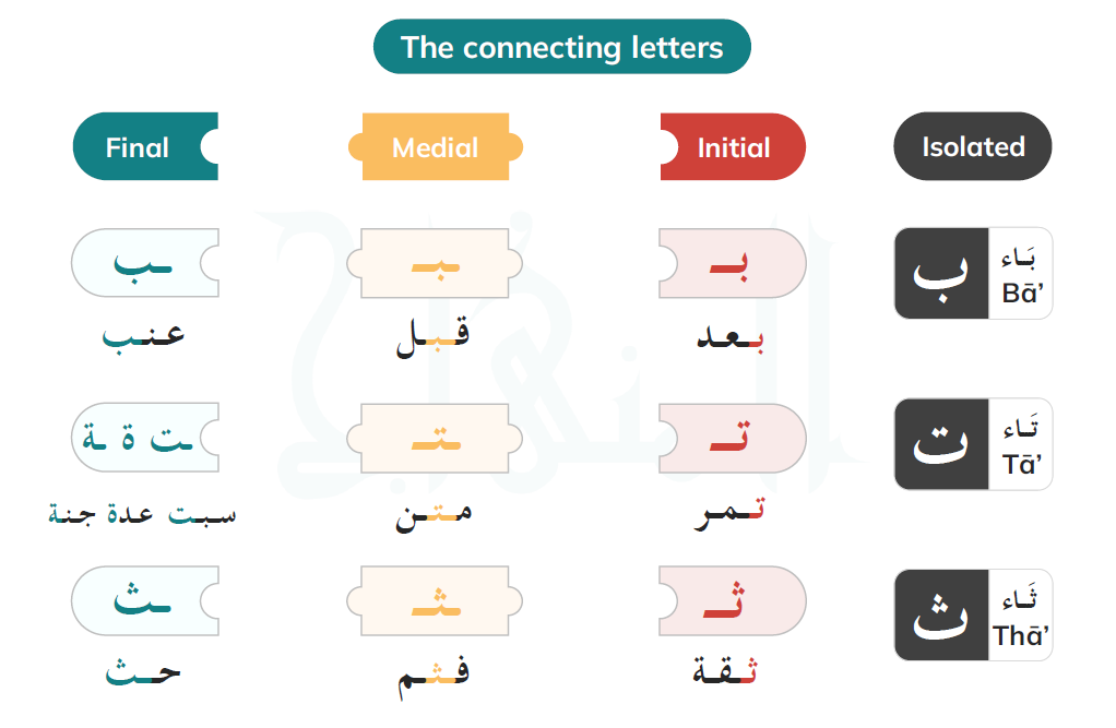 Why Do Arabic Letters Change Shape Depending on Position?