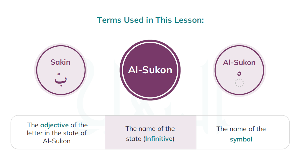 What Is Sukoon in Arabic and How Does It Function?