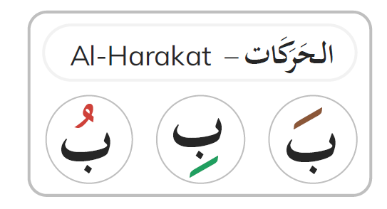 Damma as a Grammatical Signal