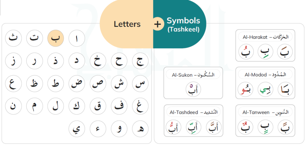 How Many Harakat Are in Arabic?