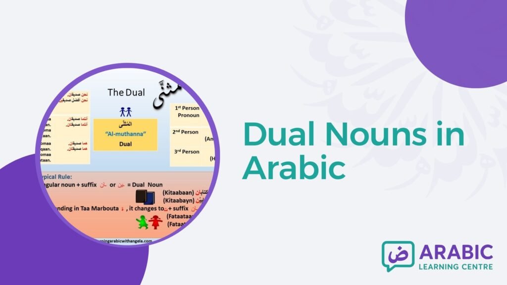 Dual Nouns in Arabic
