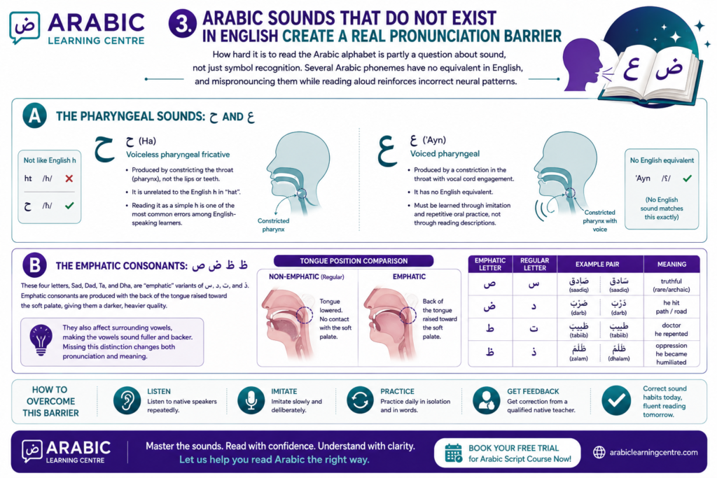 Arabic Sounds That Do Not Exist in English Create a Real Pronunciation Barrier