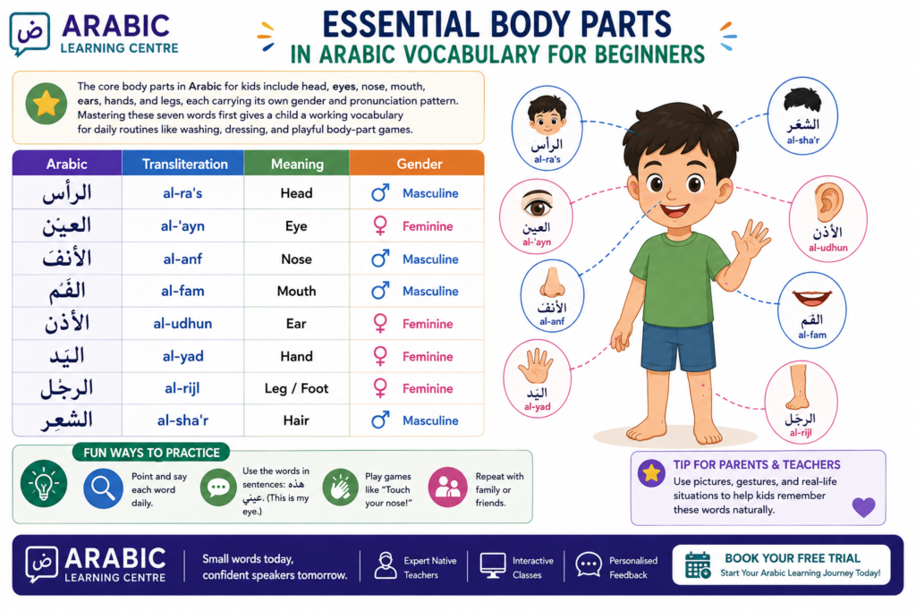 Essential Body Parts in Arabic Vocabulary for Beginners