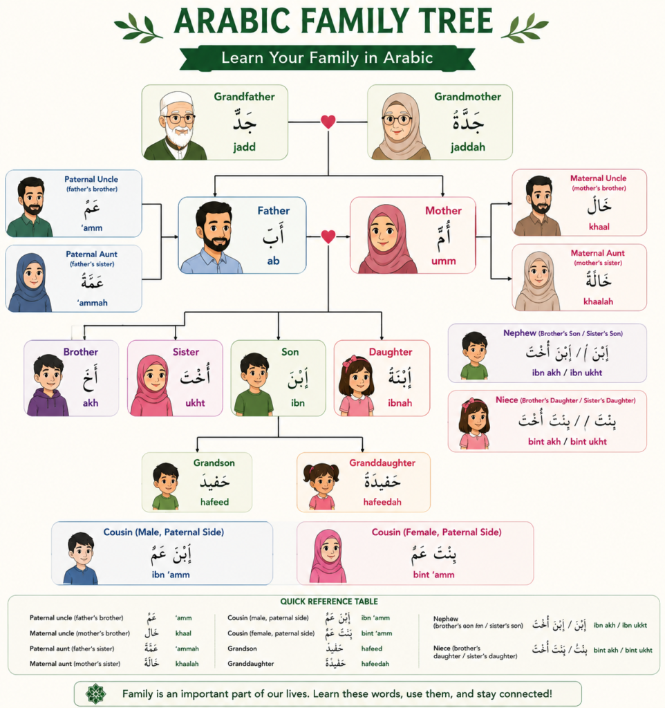 Family Members in Arabic: Names for Extended Relatives Including Aunts, Uncles and Cousins