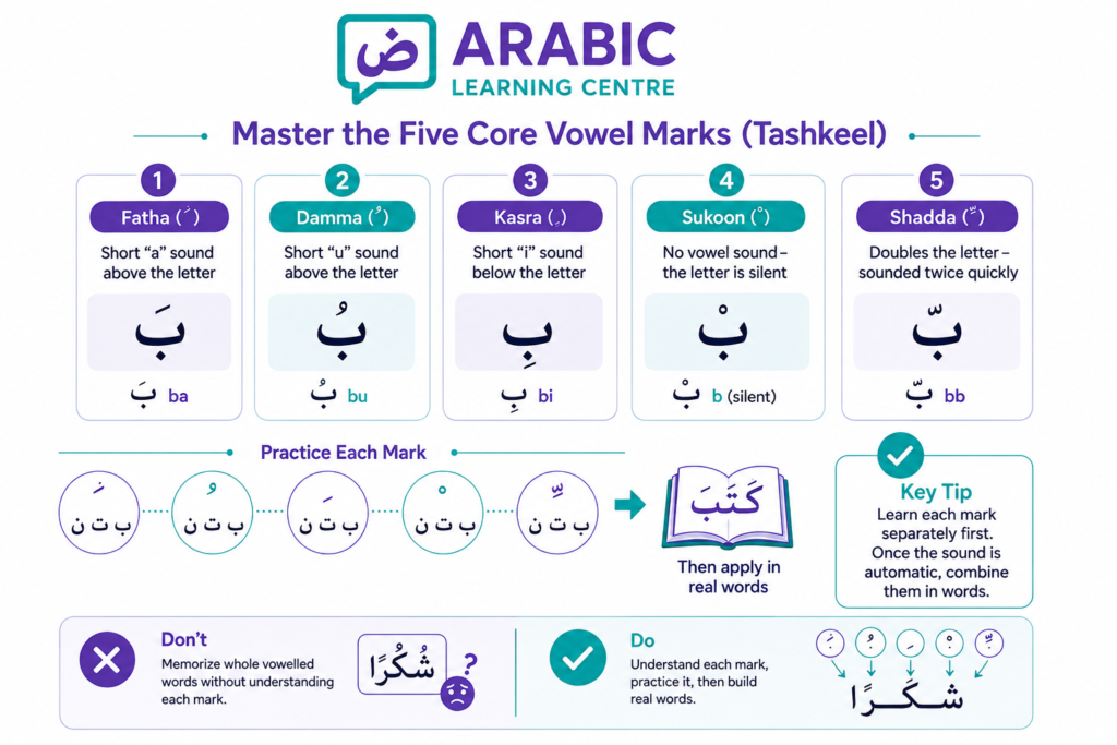 How to Read Arabic for Beginners? 4 Master the Five Core Vowel Marks (Tashkeel)