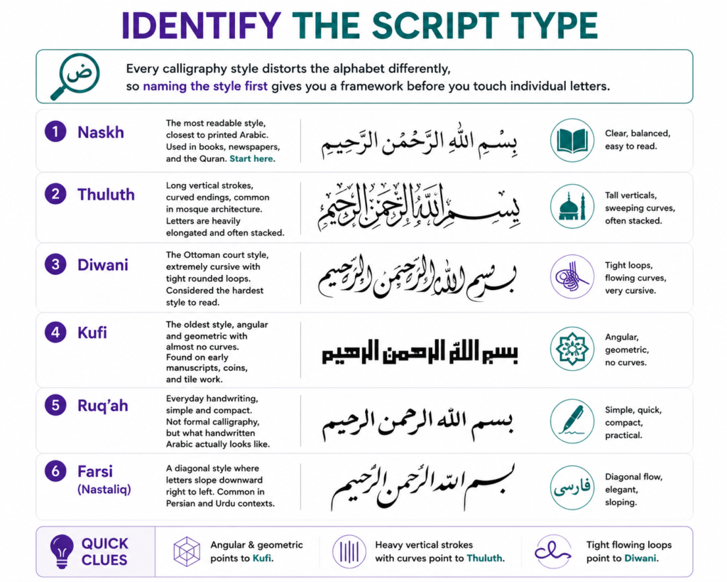 Identify the Script Type