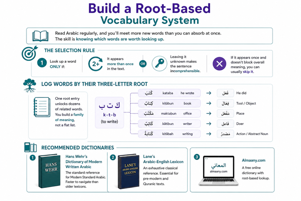 How to Read Arabic Books? – An 8-Step Guide for Beginners 8 Build a Root-Based Vocabulary System