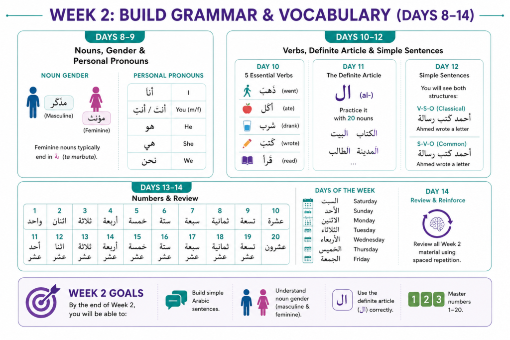 Build Grammar and Vocabulary (Days 8–14)