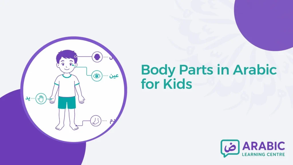 Body Parts in Arabic for Kids – Complete Vocabulary Guide with Meaning