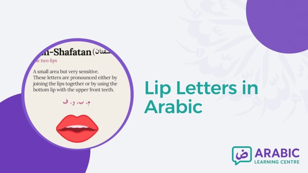 Lip Letters in Arabic – Baa, Meem, Waw, and Faa Explained