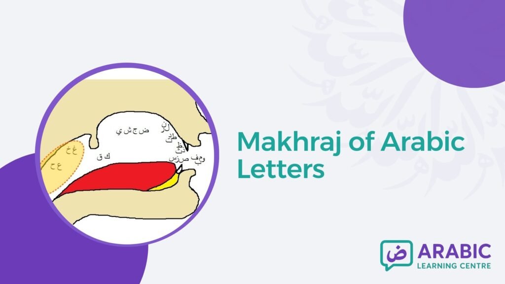 Makhraj of Arabic Letters – Complete Guide to Articulation Points