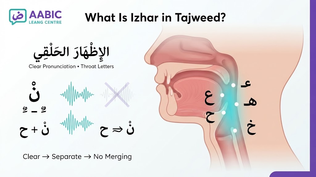 image 176